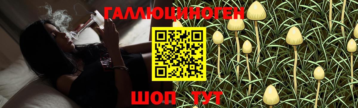 Псилоцибиновые грибы MAGIC MUSHROOMS  Вход с VPN  Чехов 